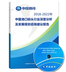2018-2022年中国港口码头行业深度分析及发展规划咨询建议报告