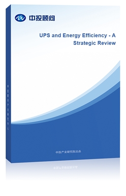 UPS and Energy Efficiency - A Strategic Review