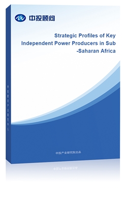 Strategic Profiles of Key Independent Power Producers in Sub-Saharan Africa